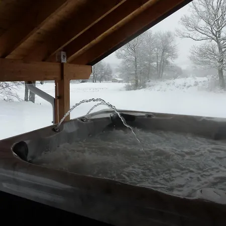Chalet Avec Jacuzzi Et Piscine, Deco Soignee Esprit Cocooning Ramonchamp Exterior photo